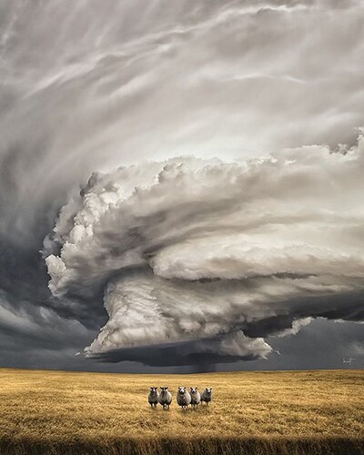 628217338_10233691523455496_8317225903484312304_n