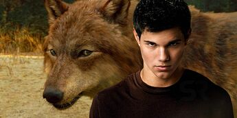 Twilight-New-Moon-tease-Jacob-werewolf-hint
