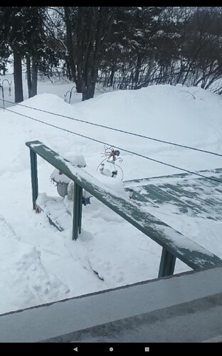 Screenshot_20260225-151504