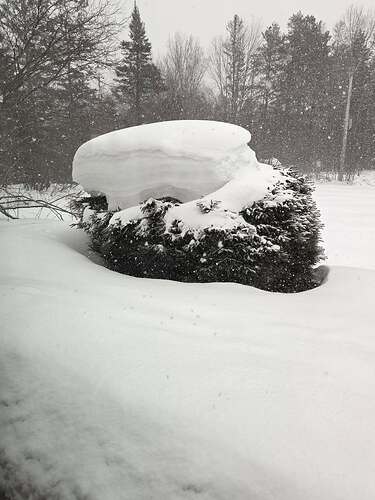 650054907_10164018234800490_6701309040298277654_n