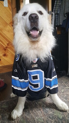 IMG_20220604_092744~2