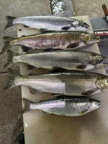 FB_IMG_1694688707524