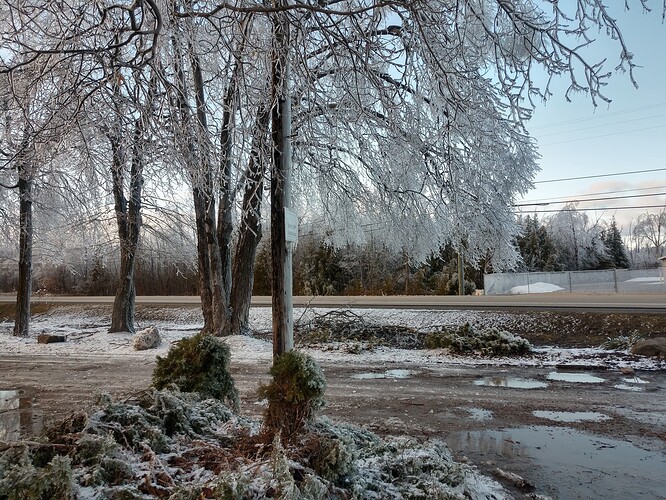 IMG_20250331_185202933_HDR