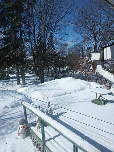 IMG_20250331_111318_3