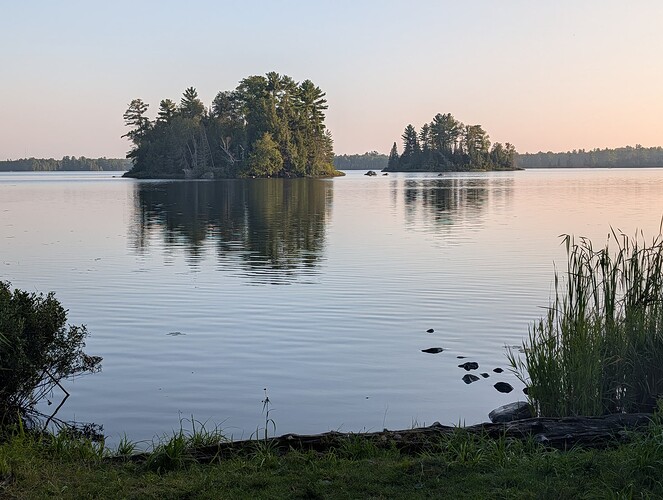 619