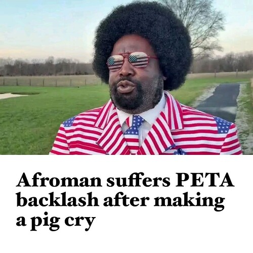 13529