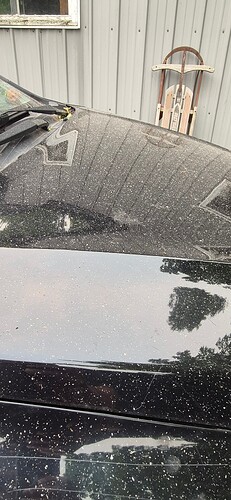 Ash from wildfires