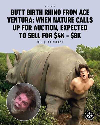 FB_IMG_1772684533988