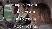 jim-carrey-dumb-and-dumber