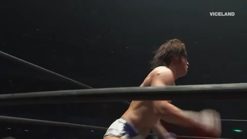 professional wrestling japan GIF by THE WRESTLERS
