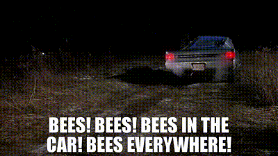 Bees