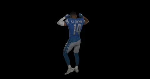 St Brown Football GIF by Detroit Lions