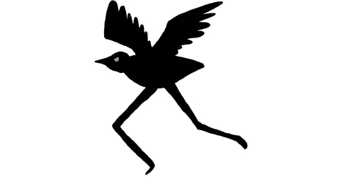 run crow GIF by mjkahn