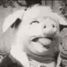 pig-creepy