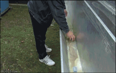 Urinal-trough GIFs - Get the best GIF on GIPHY