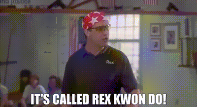 hater snapback review