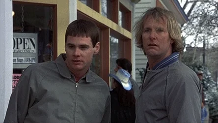 dumb and dumber GIF