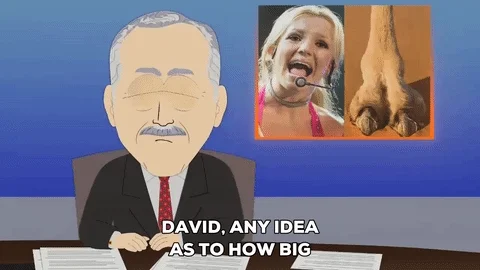 news reporter GIF by South Park
