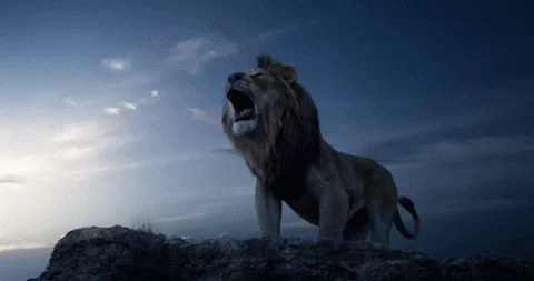 The Lion King GIF by Walt Disney Studios