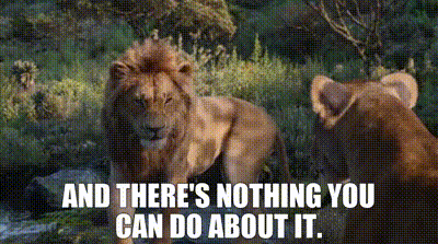 YARN | and there's nothing you can do about it. | The Lion King | Video gifs by quotes | 1ac44005 | 紗